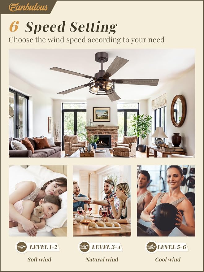 1 Pack Farmhouse 48 Inch Ceiling Fans with Lights, Industrial Caged Ceiling Fans for Bedroom Living Room, Double-Sided 5