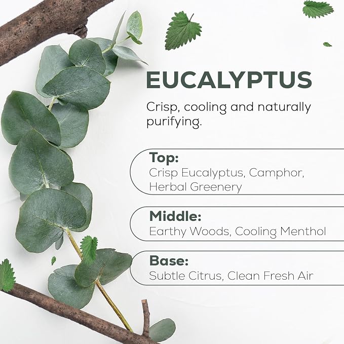 100% Pure Eucalyptus Essential Oil – Organic & Undiluted Diffuser Oil, Humidifier, alternate product view 2