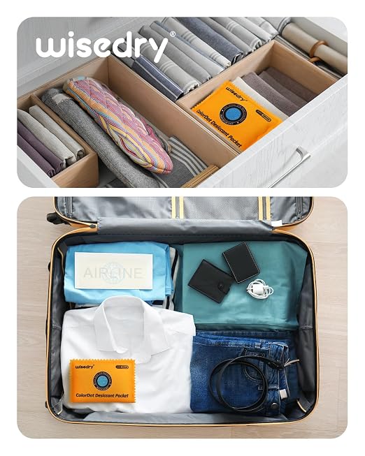 100g Rechargeable Color-Indicating Desiccant Packs for Storage, Reusable Silica Gel Desiccant Packets, Moisture Absorbing