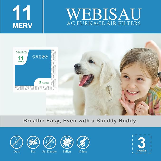 10x10x1 Air Filter MERV 11 MPR 1000 Furnace Filters Pleated HVAC AC Furnace Air Filters,Air Conditioner Filters 6Pack (Actual