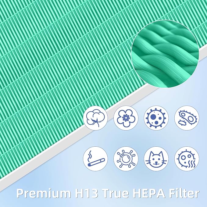 116130 HEPA Toxin Absorber Replacement Filter H for 5500-2 Am80 Plasmawave Air Purifier True HEPA Carbon Filter,2