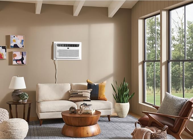 12,000 BTU Through-the-wall Air Conditioner and Dehumidifier, 115V, Cools up to 550 Sq. Ft. for Apartment, Bedroom, Medium
