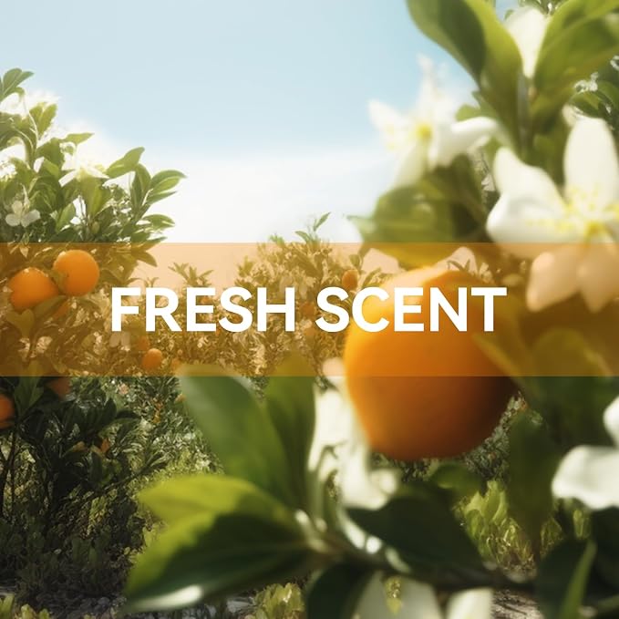 12 Packs Orange Scented Sachets - Fragrance for Closet, Drawer, Bathroom, Car - Air Freshener Deodorizer Packets, alternate