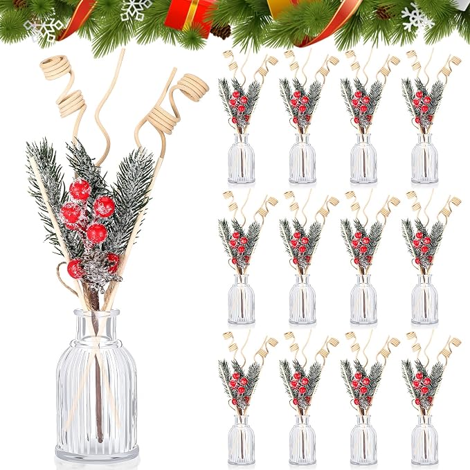 12 Sets Christmas Reed Diffuser Bottles Empty Essential Oil Glass Diffuser Bottles with Stoppers, Reed Sticks, product image