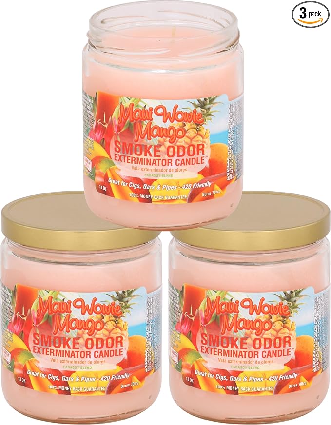 13oz Jar Candle, Maui Wowie Mango, 13 oz (3) in Maui Wowie Mango.
