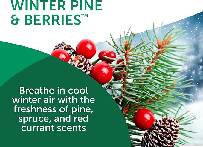 14 oz. Super Odor Eliminator, For Medium-Size Spaces, Winter Pine & Berries Scent, Case of 6, alternate product view 6