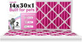 14x30x1 Air Filter (2-Pack) | Made in the USA | Color Changing | Remove Cat and Dog Odor | MERV 8 for Pet Hair