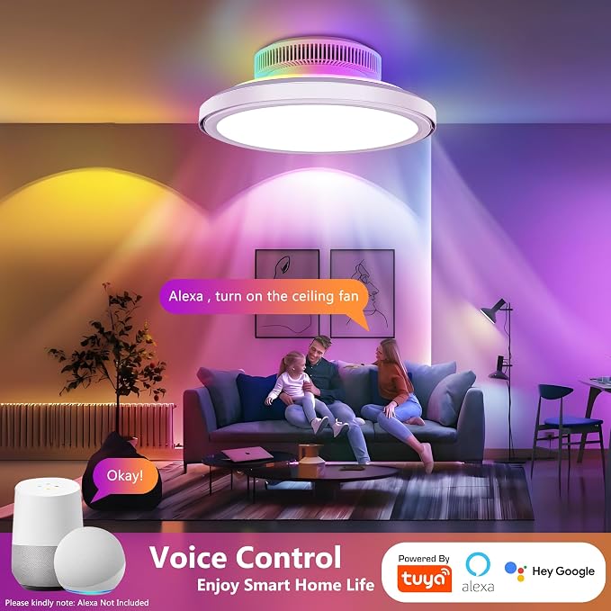 18" Bladeless Ceiling Fans, Low Profile Ceiling Fan with Light, Smart RGB Ceiling Light Fixture Support Alexa with