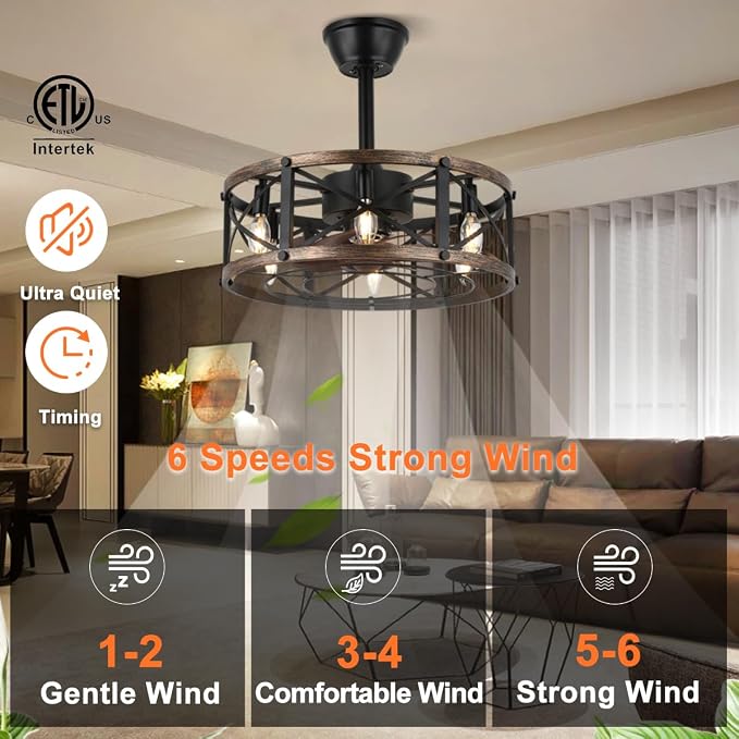 19" Farmhouse Fandelier Ceiling Fan with Light, Caged Bladeless Ceiling Fans with Lights and Remote, Modern Small Enclosed