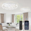 2 Pack 24 Inch Low Profile Ceiling Fans with Lights and Remote, Fandelier Modern Ceiling Fan, 3000K-6000K Dimmable LED Fan