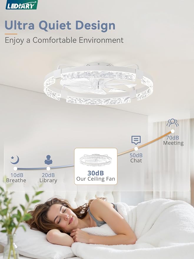 2 Pack 24 Inch Low Profile Ceiling Fans with Lights and Remote, Fandelier Modern Ceiling Fan, 3000K-6000K Dimmable LED Fan