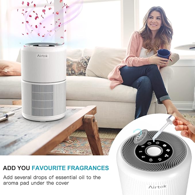 2 Pack Air Purifier for Home Bedroom with H13 True HEPA Filter for Smoke, Smokers, Dust, Odors, Pollen, Pet Dander | Quiet
