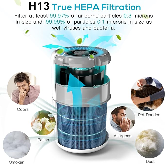 2 Pack Air Purifier for Home Bedroom with H13 True HEPA Filter for Smoke, Smokers, Dust, Odors, Pollen, Pet Dander | Quiet