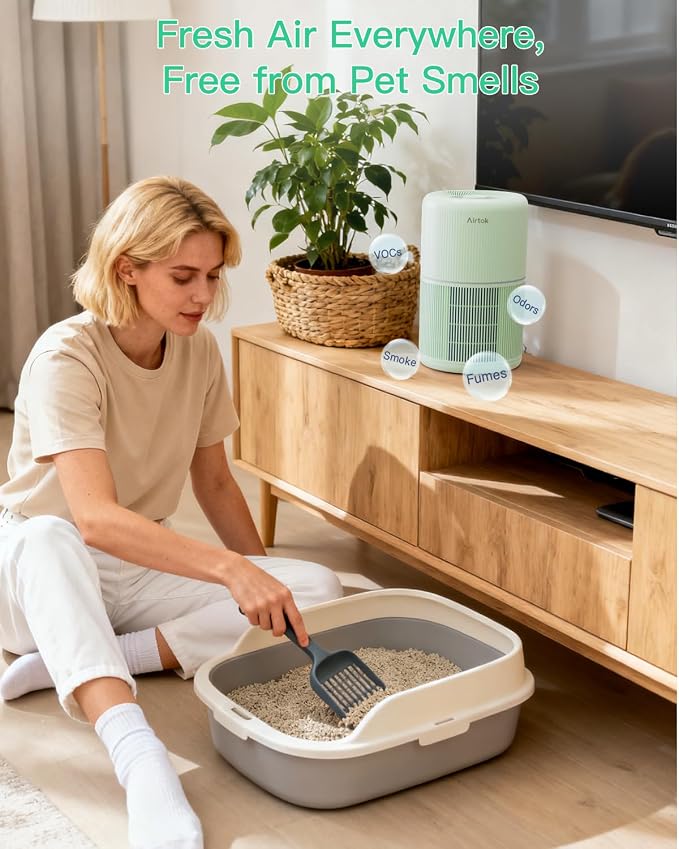 2 Pack Air Purifier for Home Bedroom with H13 True HEPA Filter for Smoke, Smokers, Dust, Odors, Pollen, alternate product