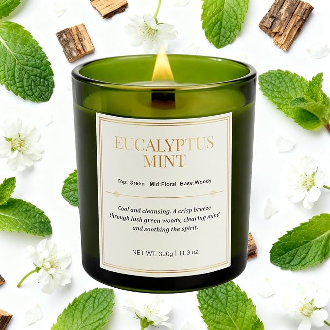 2 Pack Candles for Home Scented,Wood Wick Eucalyptus Mint Scented Candle,22.6 oz 150 Hour Long Burning Lasting, alternate