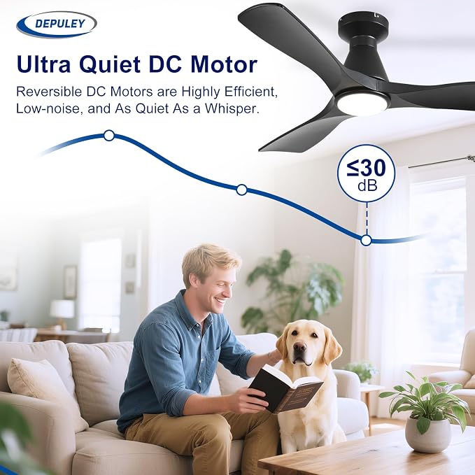 2 Pack Ceiling Fans with Lights: 42-Inch Black Flush Mount Low Profile Ceiling Fan for Bedroom Living Room - 3 Blades