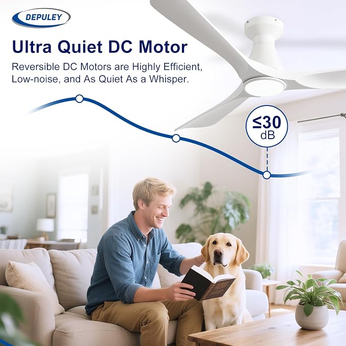 2 Pack Ceiling Fans with Lights: 52-Inch White Flush Mount Low Profile Ceiling Fan for Bedroom Living Room - 3 Blades