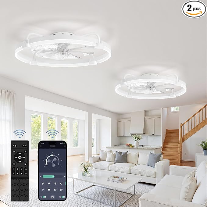 2 Pack Ceiling Fans with Lights and Remote, 24'' Low Profile Ceiling Fan with Light, 3000-6000K Dimmable