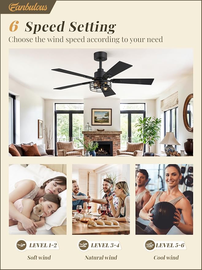 2 Pack Farmhouse 42 Inch Ceiling Fans with Lights, Black Industrial Caged Ceiling Fans for Bedroom Living Room, Double-Sided