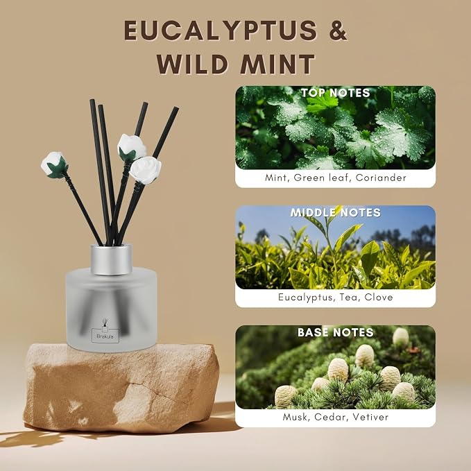 2 Pack Reed Diffuser Set, Eucalyptus & Wild Mint Scented, Home Fragrance with 14 Sticks Bathroom Decor, alternate product