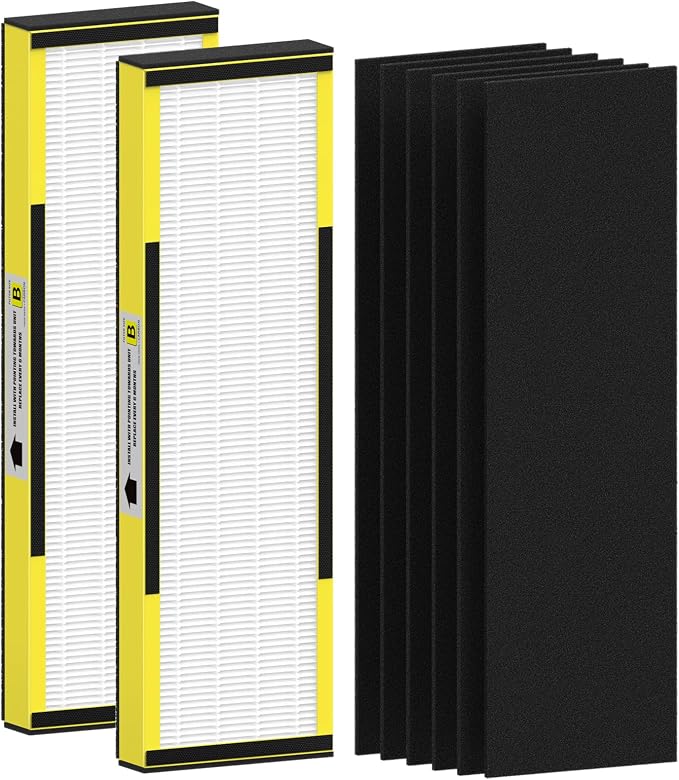 2 Packs FLT4825 HEPA Replacement Filter B Compatible with AC4825 AC4825E AC4300 AC4800 AC4900 AC4850, product image