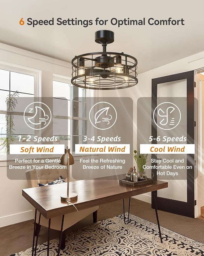 20" Black Caged Ceiling Fan with Lights, Fandelier Fan with Remote, 6 Speeds & Timer, Farmhouse Downrod Mount Bladeless