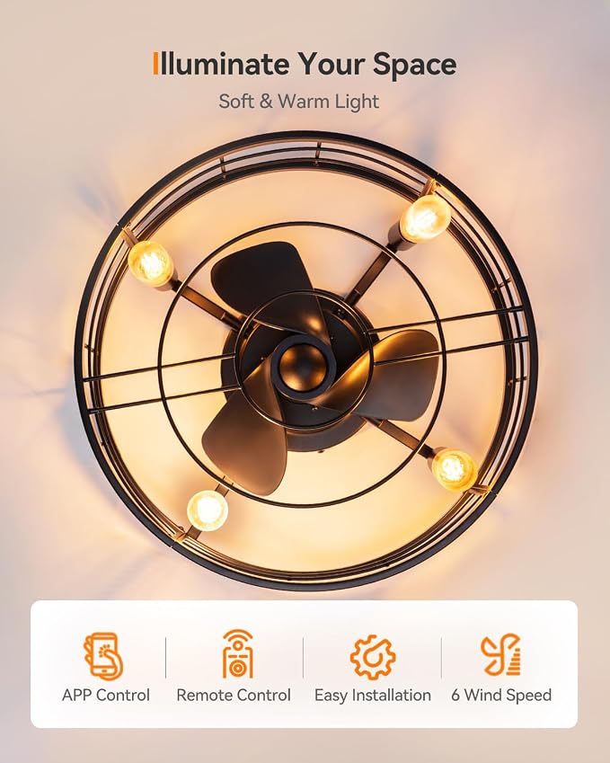 20" Black Caged Ceiling Fan with Lights, Fandelier Fan with Remote, 6 Speeds & Timer, Farmhouse Downrod Mount Bladeless