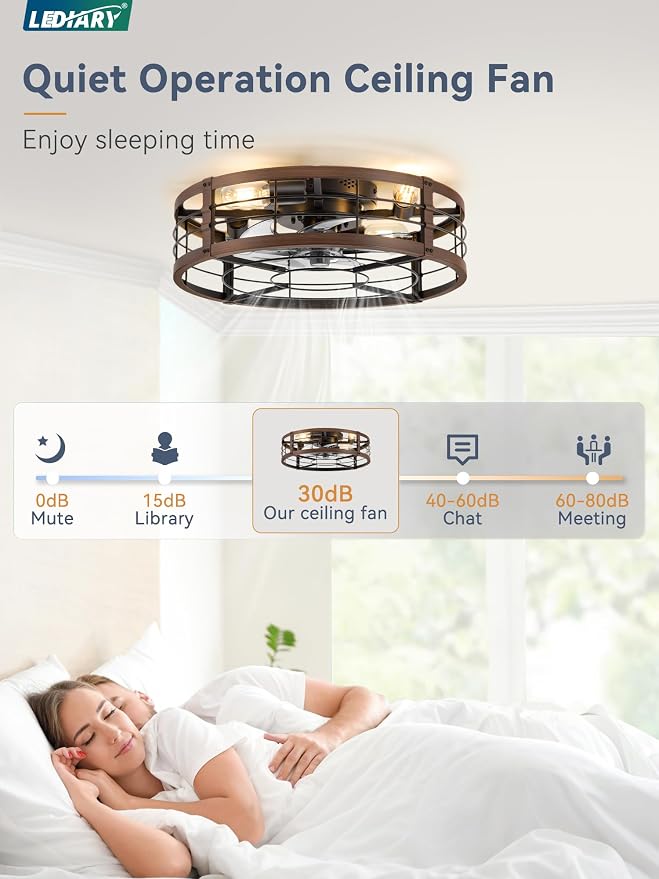 20" Caged Ceiling Fan with Light and Remote, Low Profile Flush Mount Fandelier, Walnut Bladeless Enclosed Small Fan Lights