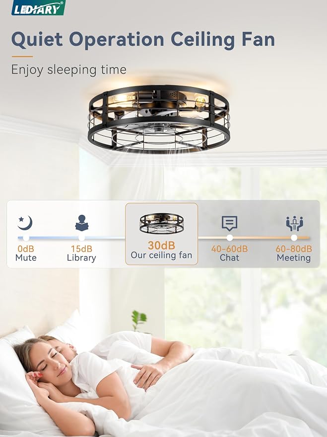 20" Caged Ceiling Fan with Light and Remote, Low Profile Flush Mount Fandelier, Black Bladeless Enclosed Small Fan Lights
