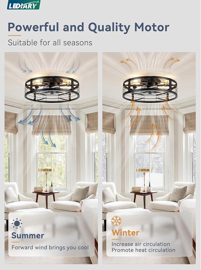 20" Caged Ceiling Fan with Light and Remote, Low Profile Flush Mount Fandelier, Black Bladeless Enclosed Small Fan Lights