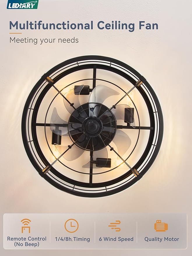 20" Caged Ceiling Fan with Light and Remote, Low Profile Flush Mount Fandelier, Black Bladeless Enclosed Small Fan Lights
