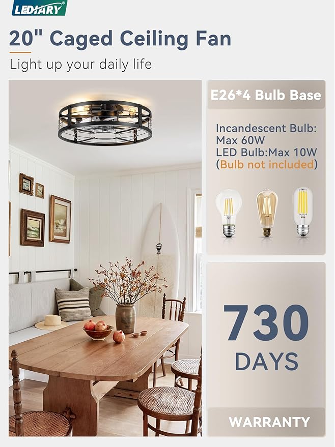 20" Caged Ceiling Fan with Light and Remote, Low Profile Flush Mount Fandelier, Black Bladeless Enclosed Small Fan Lights