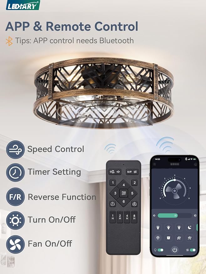 20" Caged Ceiling Fan with Light, Small Flush Mount, App&Remote Control, Low Profile Bladeless Fan Light Fixture 6 Speed