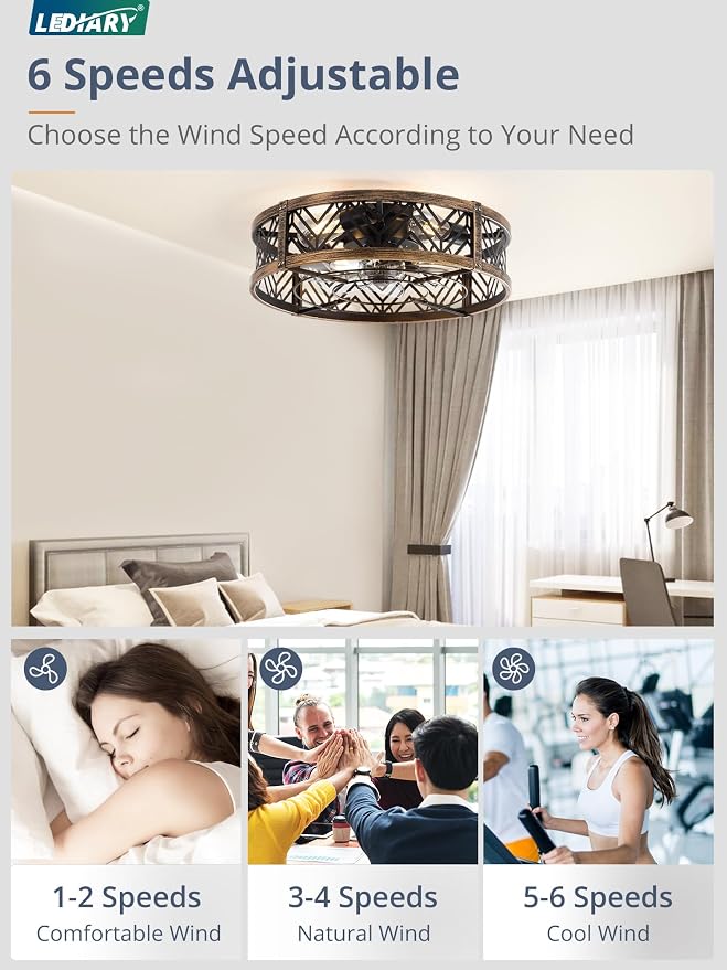 20" Caged Ceiling Fan with Light, Small Flush Mount, App&Remote Control, Low Profile Bladeless Fan Light Fixture 6 Speed