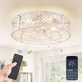 20" Caged Ceiling Fan with Light, Small Flush Mount Ceiling Fan with App&Remote, Low Profile Bladeless Ceiling Fan Light