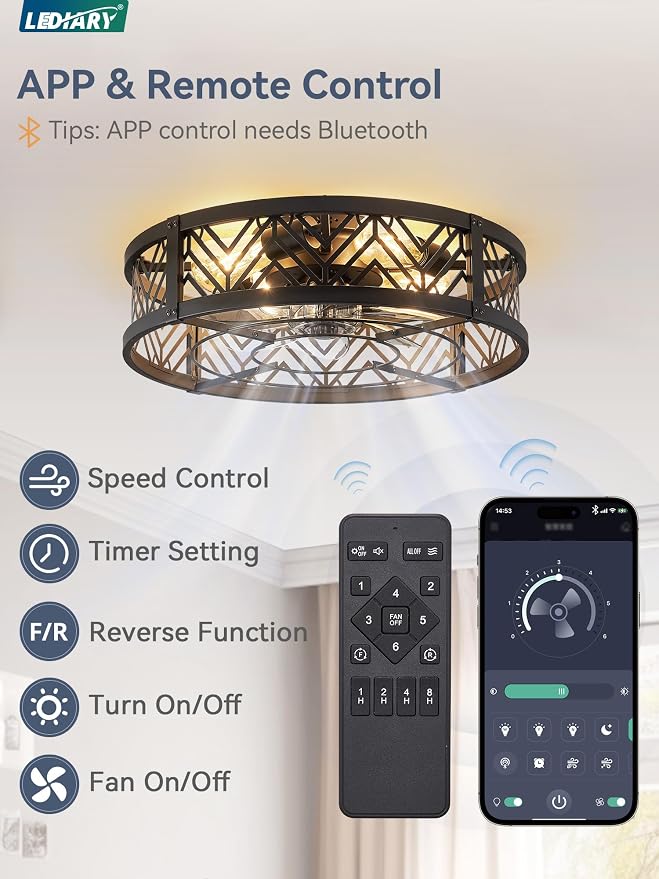 20" Caged Ceiling Fan with Light, Small Flush Mount Ceiling Fan with App&Remote, Low Profile Bladeless Ceiling Fan for