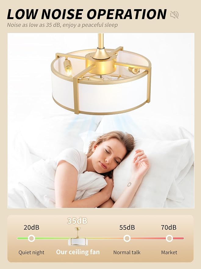 20" Caged Ceiling Fans with Lights, Gold Fandelier Ceiling Fan with Light, Boho Chandelier Fan Remote Control, 6 Speeds for