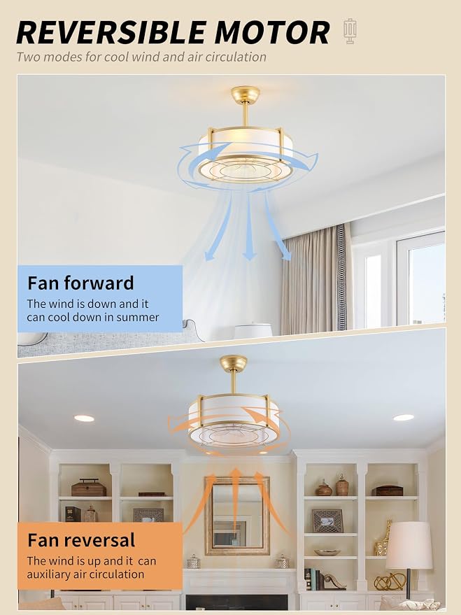 20" Caged Ceiling Fans with Lights, Gold Fandelier Ceiling Fan with Light, Boho Chandelier Fan Remote Control, 6 Speeds for