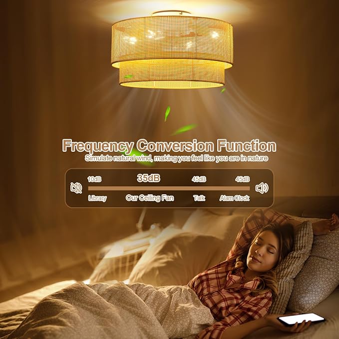 20 Inch Boho Caged Ceiling Fans with Lights Flush Mount, Rattan Ceiling Fan with Light Remote Control with Reversible 6