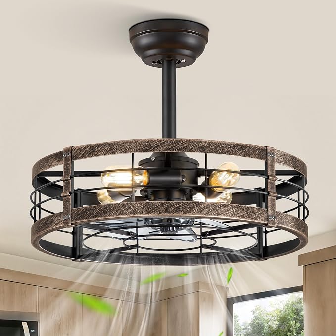20 Inch Fandelier Caged Ceiling Fan with Light, Bladeless Ceiling Fan with Remote, Small Farmhouse Fan Lights Ceiling