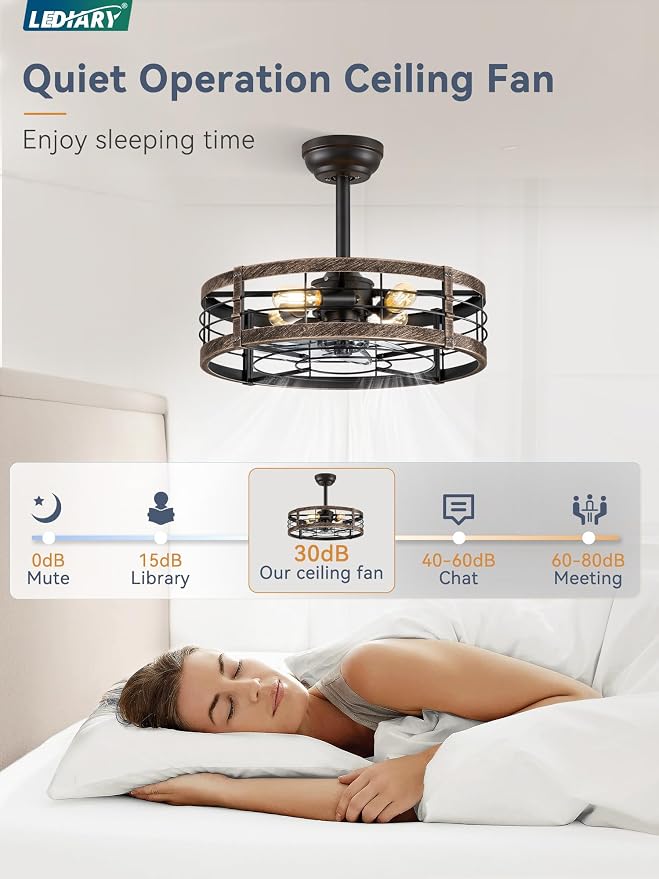 20 Inch Fandelier Caged Ceiling Fan with Light, Bladeless Ceiling Fan with Remote, Small Farmhouse Fan Lights Ceiling
