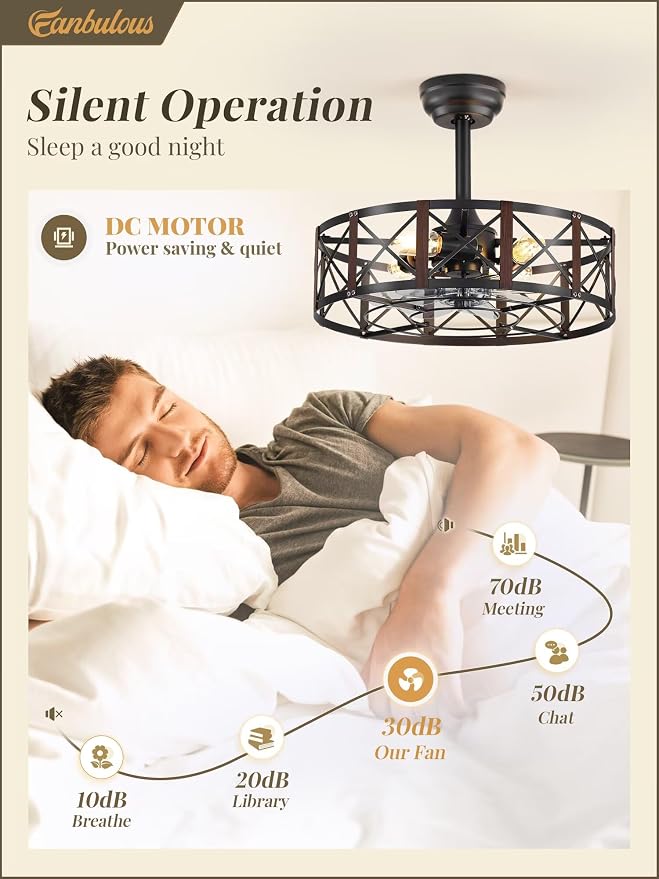 20 Inch Fandelier Caged Ceiling Fans with Lights and Remote, Black Bladeless Ceiling Fan with 6 Speeds and, alternate view 2