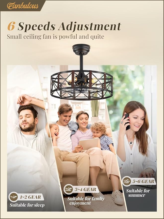 20 Inch Fandelier Caged Ceiling Fans with Lights and Remote, Black Bladeless Ceiling Fan with 6 Speeds and, alternate view 3
