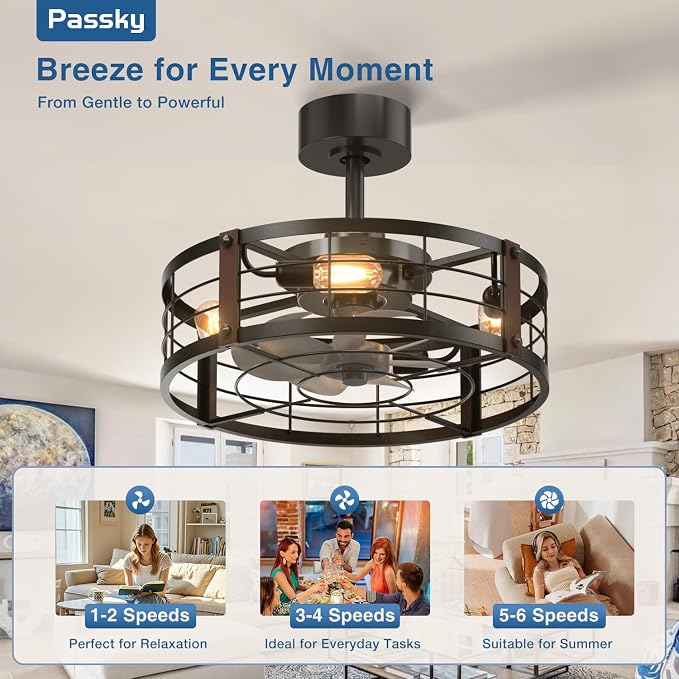 20 Inch Farmhouse Caged Ceiling Fans with Lights and Remote, Black Downrod Mount Bladeless Fandelier, 6 Speeds Bladeless