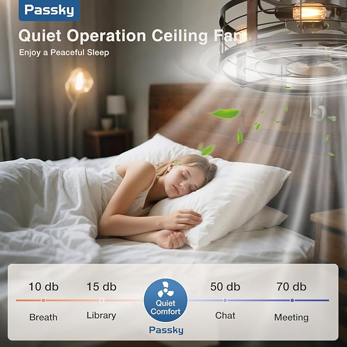 20 Inch Farmhouse Caged Ceiling Fans with Lights and Remote, Black Downrod Mount Bladeless Fandelier, 6 Speeds Bladeless