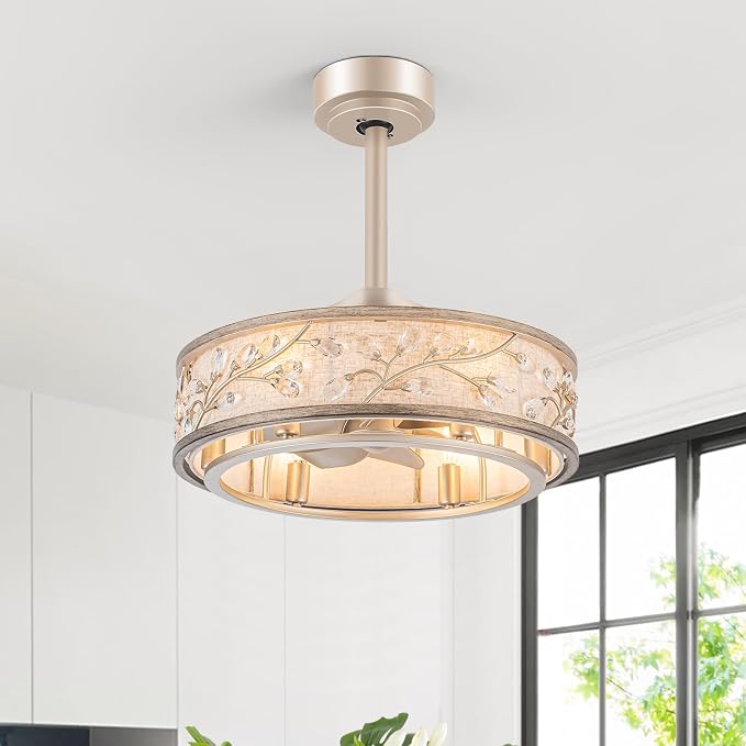 20 Inch Low Profile Caged Fandelier Ceiling Fan with Lights – Farmhouse Style, DC Motor Fixes Flickering