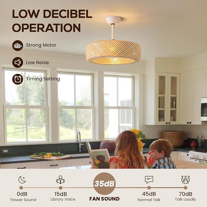 20" Rattan Boho Caged Ceiling Fan with Lights Remote Control, Rattan Enclosed Fandelier Ceiling Fans with Lights Low Profile