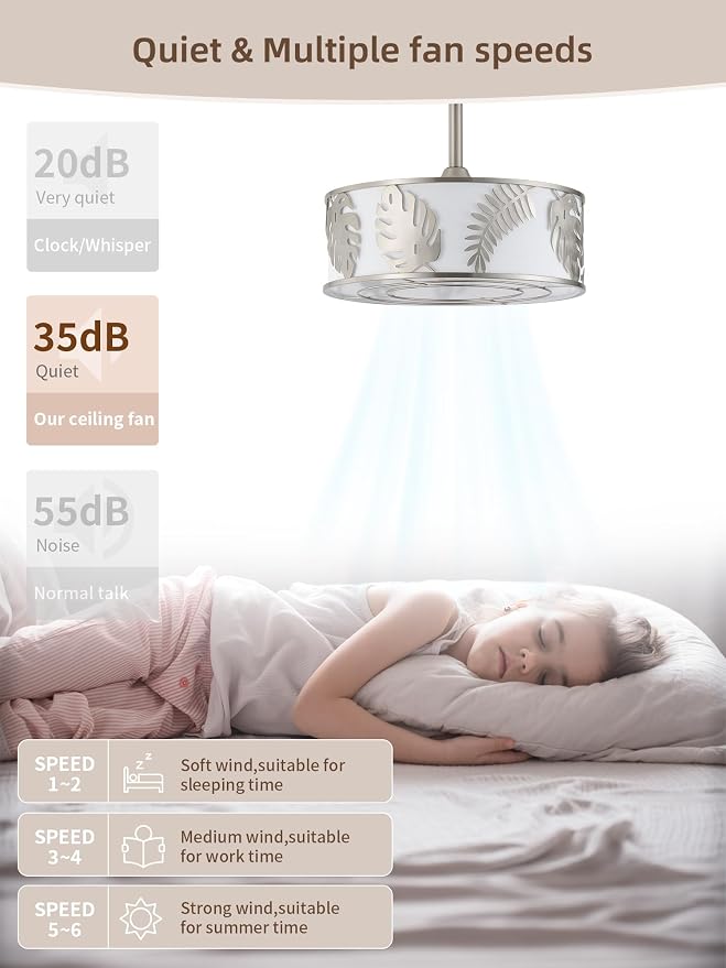 20" Silver Caged Ceiling Fans with Lights, Silver Fandelier Ceiling Fan with Light Remote Control, Bladeless Caged with 6