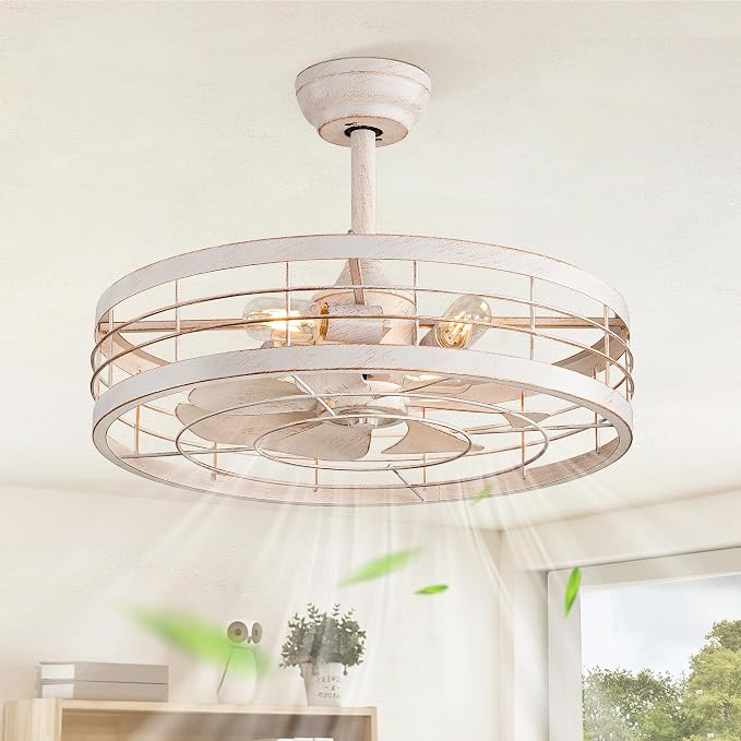 22 inch Caged Ceiling Fan with Light, Bladeless Industrial Ceiling Fan with Remote, Farmhouse Fan Lights Ceiling Fixtures for