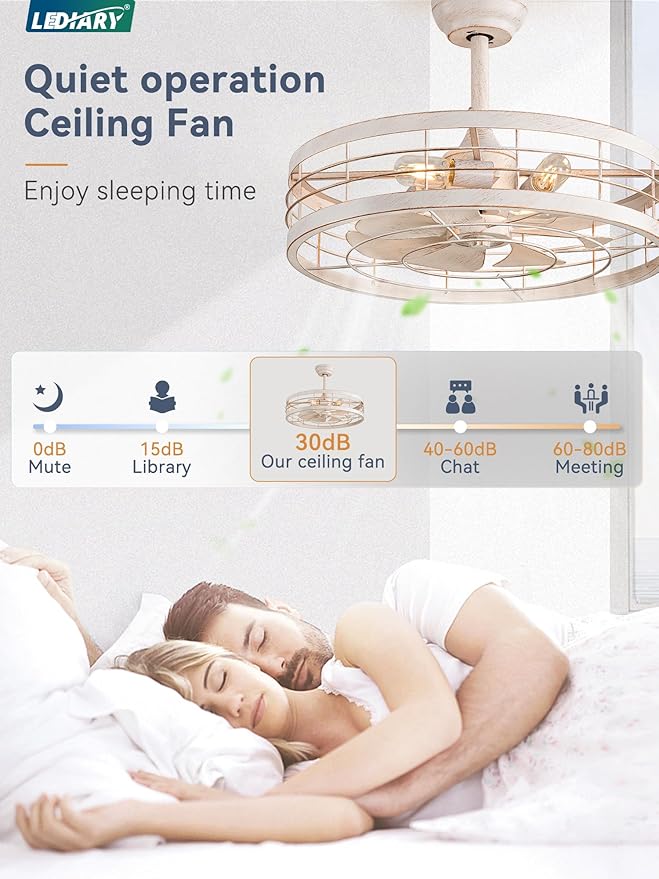 22 inch Caged Ceiling Fan with Light, Bladeless Industrial Ceiling Fan with Remote, Farmhouse Fan Lights Ceiling Fixtures for